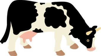 home Cow