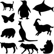 drawn silhouettes of wild animals