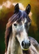 gray horse portrait