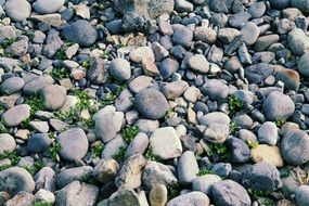 Stone Gravel