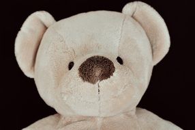 beige teddy bear