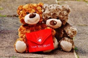 teddy bear with an envelope in hands