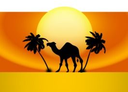 silhouette of a camel and palm trees in the desert in the sun