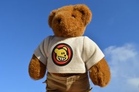 bear t-shirt toy