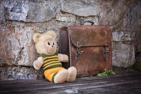 Teddy bear and leather case