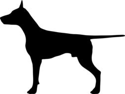 black silhouette of a dog