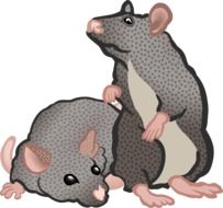 two small gray mice drawing