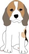 beagle as a graphic image
