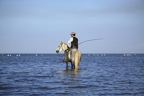 a man riding a horse on the river