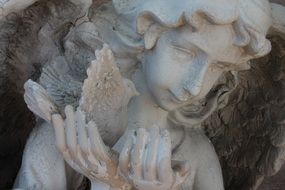 statue of a an angel with dove