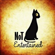 painted black cat and the inscription is not entertained