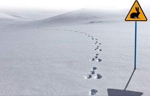 animal Footprints path on a snow and warning sign with hare