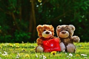 Two bears sitting on the green grass with a gift for Mom a day mother