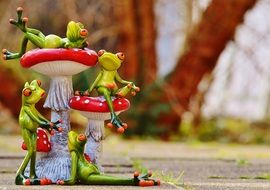 a group of frogs near a fungus on the track in the park