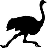 black silhouette of a running ostrich
