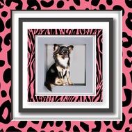 Picture Frame Dog