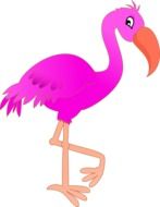 Cartoon Flamingo as a drawing