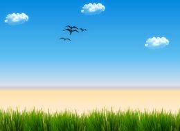 graphic image of birds above the beach