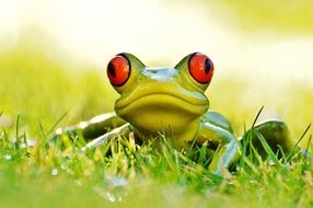 cute ceramic frog on the green meadow