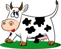 Picture of Cow on a livestock