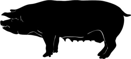 Black silhouette of piggy