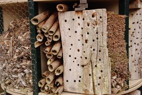 Bug Insects Hotel