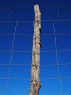 pole with wires against the blue sky