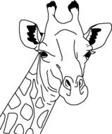 giraffe head, Black And White illustration