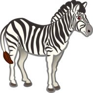 drawing of a zebra