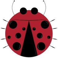 Drawing of the red and black lady bug