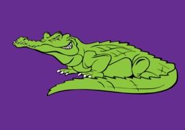 green Crocodile at purple background, drawing