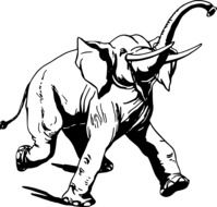 mammal Elephant drawing