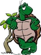 cartoon turtle