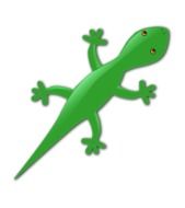 picture of green gecko