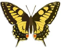 Clip Art of the yellow Butterfly