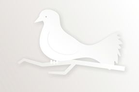 white image of a dove