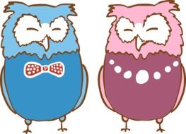 Two painted colored owls