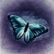 blue Butterfly on purple background, illustration