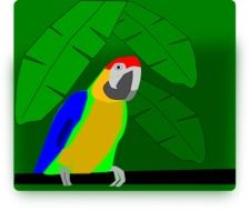 parrot as a colorful graphic image