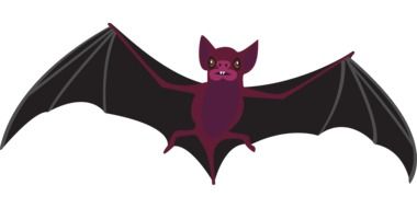 halloween bat drawing