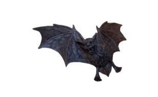 scary flying dog