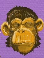 monkey head on a purple background