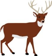 painted brown deer