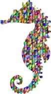 rainbow seahorse image