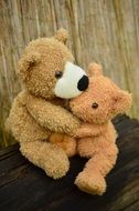 photo of two hugging teddy bears