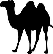 Animal Camel drawing