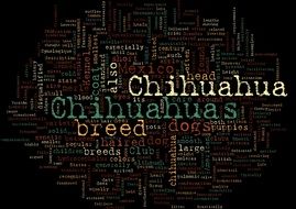 lettering chihuahuas on a black background