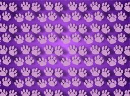 purple background with animal footprint