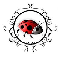 clipart of Framed ladybug