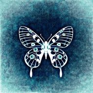 painted butterfly on blue background